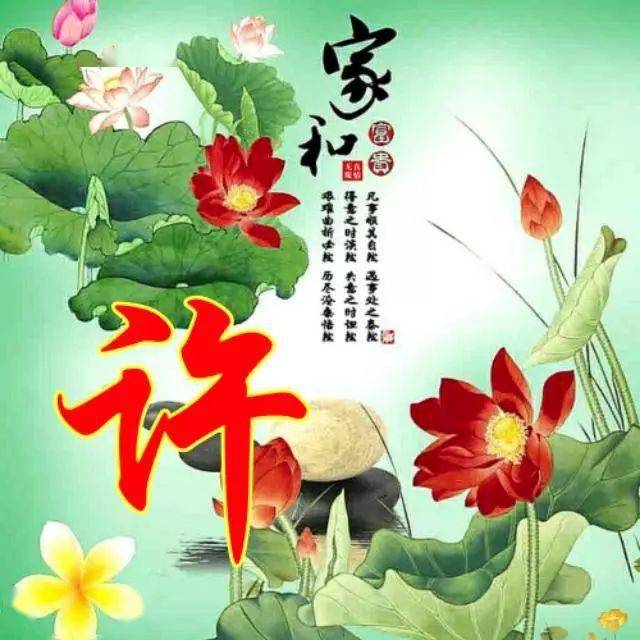 中老年微信头像图片大全女60后(中老年女性微信头像精选)-第1张图片-丝路图片网