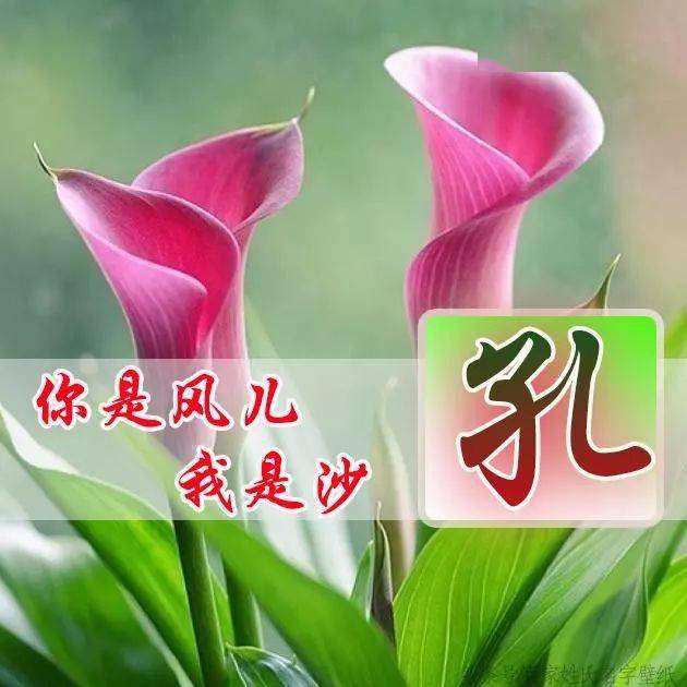 五六十岁头像(中年成熟头像)-第1张图片-丝路图片网