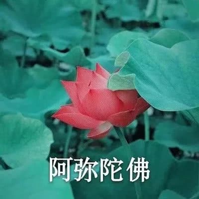 老人头像男90岁左右(