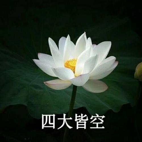 优雅老年人微信头像(优雅老年头像)-第2张图片-丝路图片网