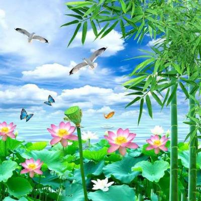 50岁干净有品位的头像微信(“成熟优雅头像，微信必备”)-第2张图片-丝路图片网