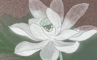 优雅老年人微信头像(优雅老年头像)