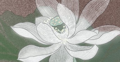 优雅老年人微信头像(优雅老年头像)